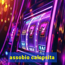 assobio calopsita