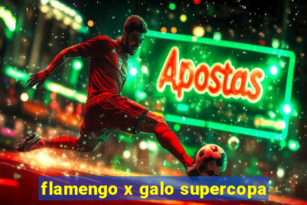 flamengo x galo supercopa