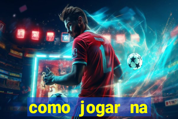 como jogar na lotinha do jogo do bicho