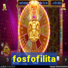 fosfofilita