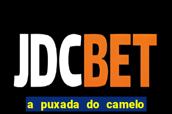 a puxada do camelo no jogo do bicho