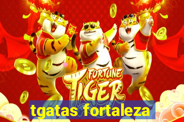 tgatas fortaleza