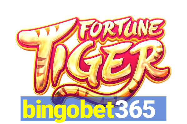 bingobet365