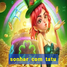 sonhar com tatu jogo do bicho