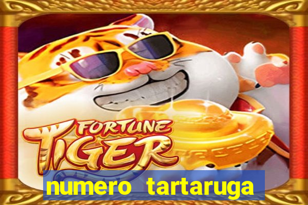 numero tartaruga jogo do bicho