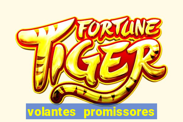 volantes promissores ea fc 24