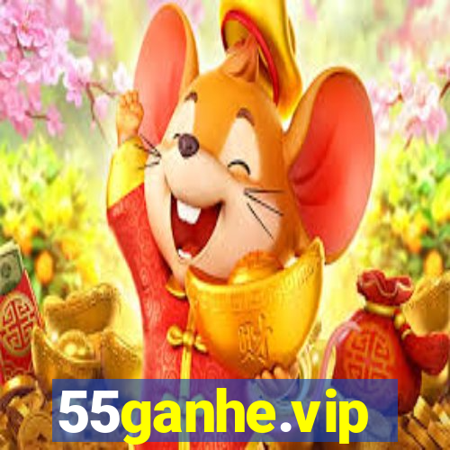 55ganhe.vip