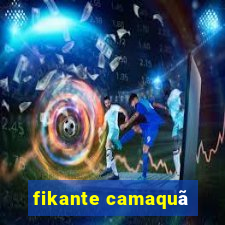 fikante camaquã